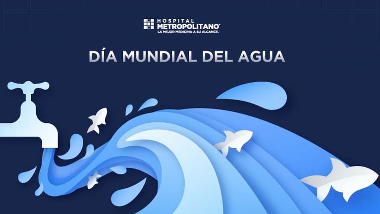 Dia Mundial del Agua