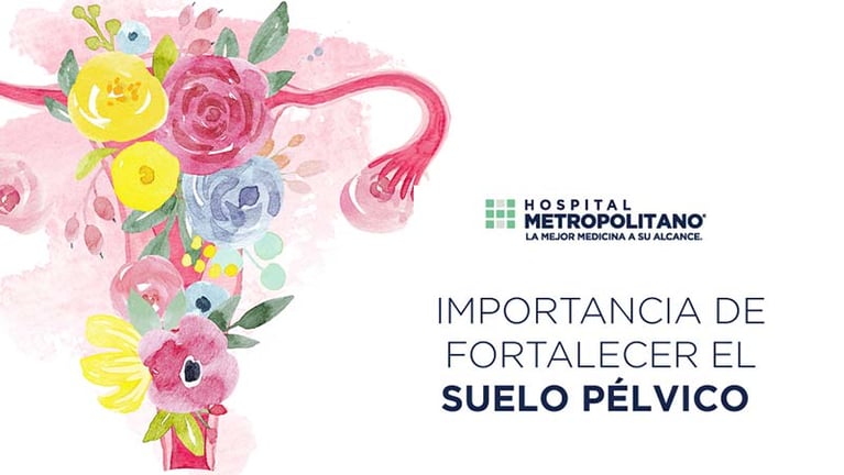¿Qué es el Suelo Pélvico y para qué sirve?